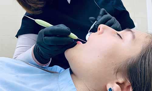 Prótesis dental